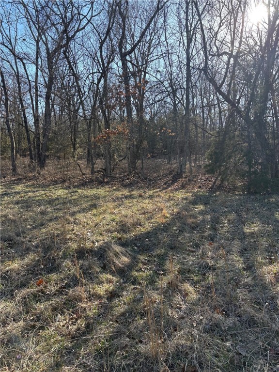 Beautiful rolling land ready to create a beautiful homesite with a variety of options. Mixed woods, mixed level areas with hillside. This property sits very close to wooded area of Pea Ridge National Military Park. Public water, fiber optic and 3 phase electricity at the road.