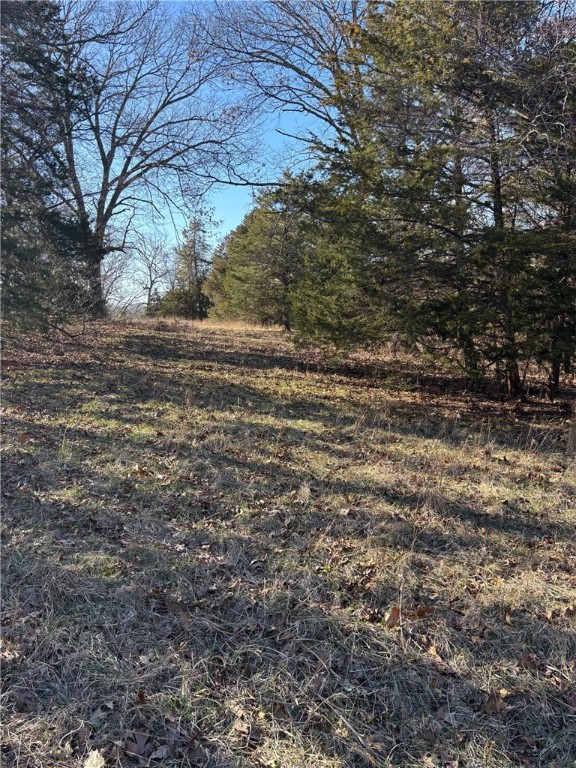 23-21-29-RURAL - Land