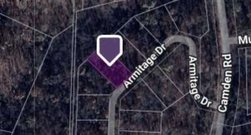 Don't miss out on this great opportunity to build your dream home in Bella Vista, taking advantage of all
that Bella Vista has to offer and yet just minutes away from Bentonville. The Best of both worlds, live in a
quiet area, with a mountain resort feel, but only minutes from shopping, art museums, and the bustle of
town. Enjoy the Bella Vista amenities that come with being a land owner - public parks, golf courses,
swimming pools, trails and lakes. Make this property yours today!!!