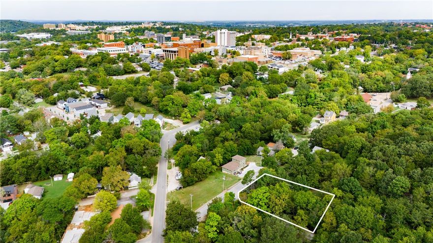 If you're searching for a residential lot just a few blocks from the lively Fayetteville downtown square, this is the one! This 0.34-acre partially wooded lot is the perfect spot. Whether you're planning a custom build or looking for a prime investment opportunity, this lot offers great potential!