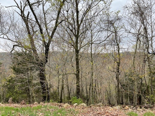 Beautiful lot with lots of potential! Plenty of wildlife for a rural feel but close to Eureka Springs. 2 Golf courses, country club, recreation center, swimming pool, park, tennis courts, ball field, marina and fishing dock, to name a few amenities. Don't let an opportunity like this pass you by!