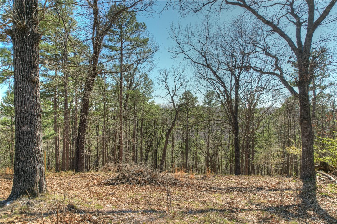 Discover the perfect spot to build your dream home or investment property on this beautiful .28-acre lot! Nestled in a desirable area, this property offers a blend of privacy and convenience, with easy access to schools, shopping, and other amenities. The level terrain provides a great setting for a custom build, while utilities are available nearby.