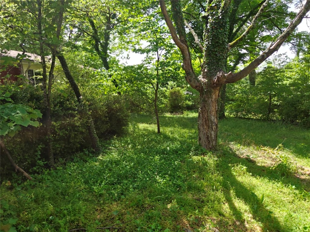 Fayetteville Outlots - Land