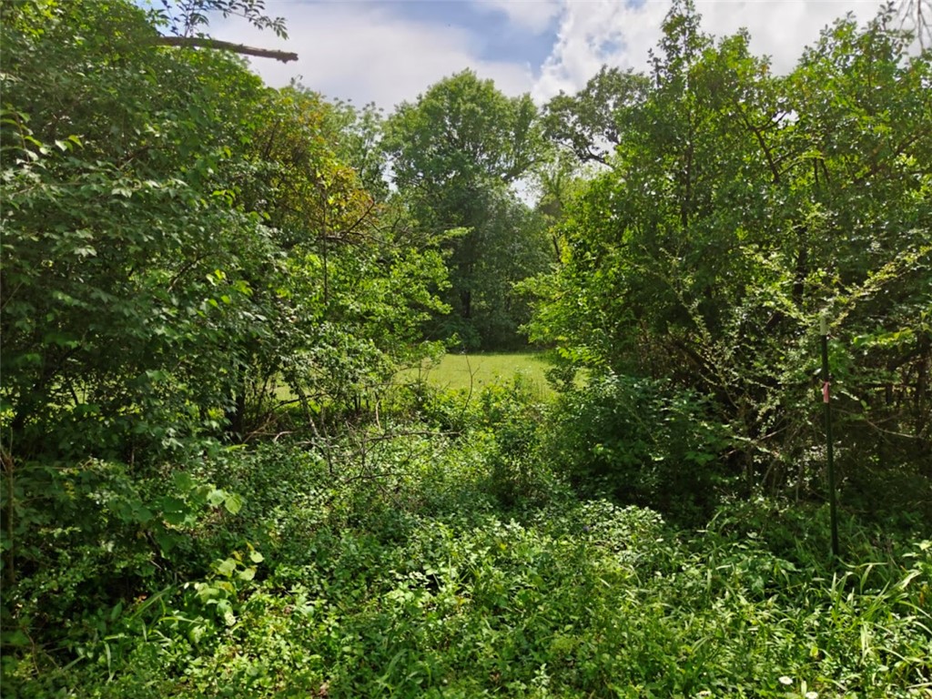 Fayetteville Outlots - Land