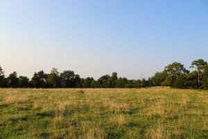 Have you been looking for land with endless possibilities? If you have, then this land is perfect for you. It is 38.77 acres of mostly pasture that lays flat and has two ponds. You could build your dream home in a great location or use it for livestock.