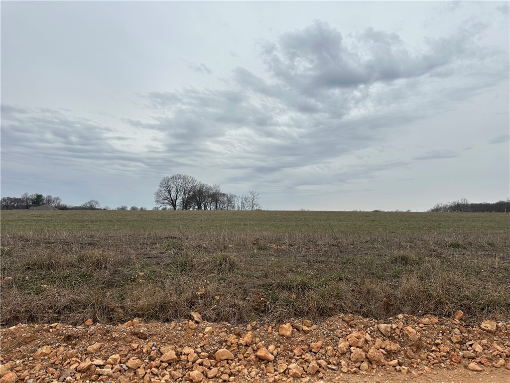 Snyder Estates Rurban - Land