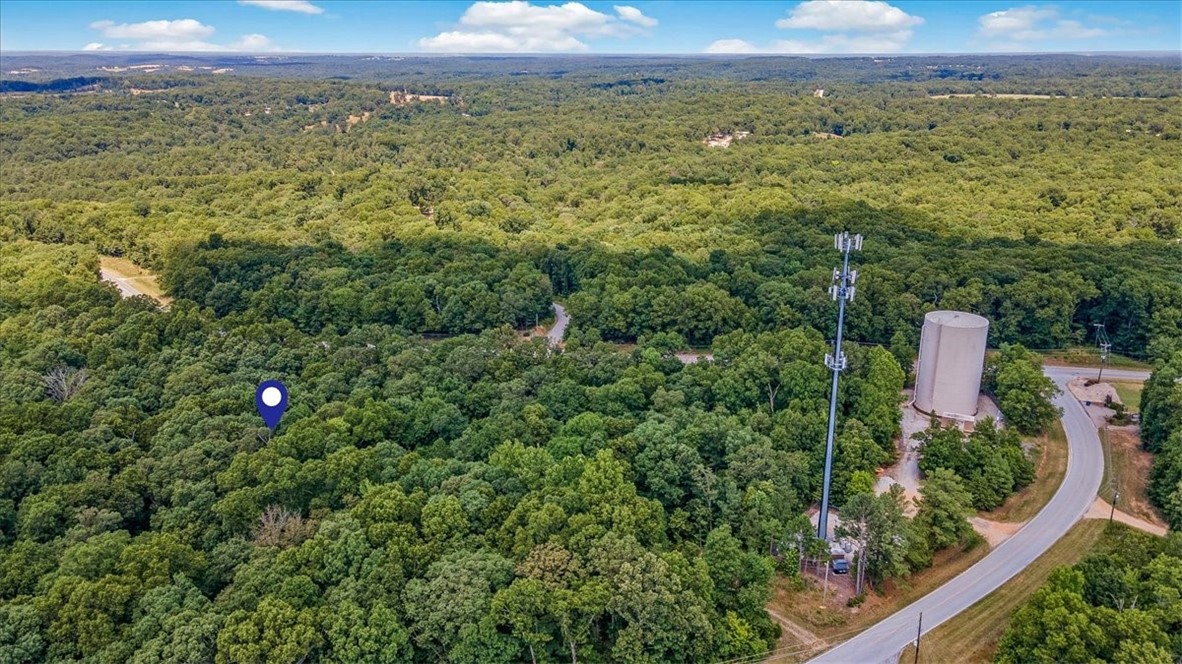Let you inner adventurer out and enjoy all Bella Vista has to offer with 7 lakes, 8 golf courses, many tennis courts, parks, pools, and trails for hiking or biking and even a gun range!