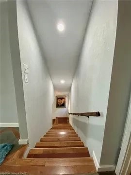 Mulberry - Residential