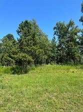 28 AUTUMN CT, DOVER, AR 72837 - Image e4694bd3c18f4e893ab41239c7fb3441/1157286010