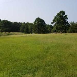 This is just what you've been looking for. Just minutes from town, a short walk from Lake Ludwig, and your own piece of heaven! Cute little countryhome with tons of potential, carport, building and barn! and as pretty a ten acres as you will find. Horses will love it here! Bring your kids out hereand they'll want to call it home.