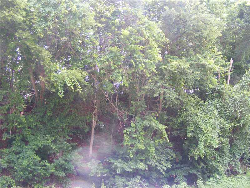 HILLSIDE PROPERTY. LAND LOCKED