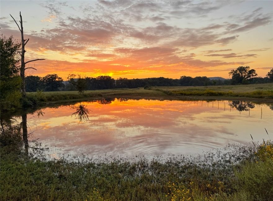 Come view this 141.05 stunning acres, where nature meets endless possibilities! This property boasts a mobile home 3 bed 2 full bath 1,050 sq ft, a cabin 1/1 1075 sq ft, multiple ponds, all gracefully nestled next to the serene Chickalah Creek. Imagine the lifestyle you could create here—whether it’s crafting your dream home amidst open pastureland, a hobby farm, or raising livestock. With views of Mount Nebo and Spring Lake Mountain, this land is a canvas for your imagination, offering a perfect blend of space, privacy, and natural beauty.  Don’t miss this rare opportunity to own a piece of paradise—where the only limit is your creativity! What dream are you ready to cultivate here?
