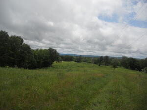 Close to town with breathtaking views and over 1/4 mile frontage on Crooked Creek. Perfect location to build your dream home, paved road access, electric, water, and natural gas on site. Great mixture of pasture and woods, bluff line even has caves to explore. Bonus feature is the property comes with a 3BR 2BA 1,700 sq ft home that rents for $1,100 per month.