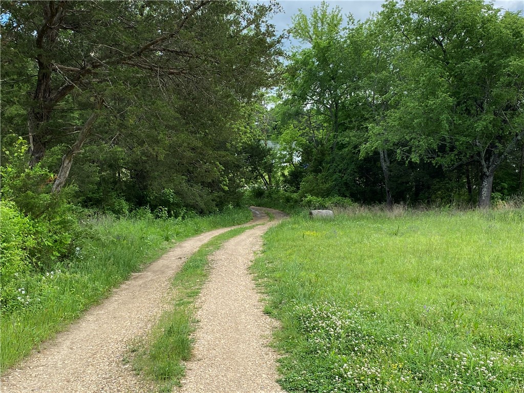Pretty parcel offering open and some wooded ground. Small stream will flow several months out of the year. Most of the pasture is mowable for hay. Within minutes of several landings on the Buffalo National River. Acreage amount is from County records and is an estimate. Have buyer confirm availability of water and electric.