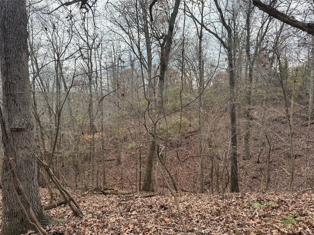 Wheeler Heights Dev - Land