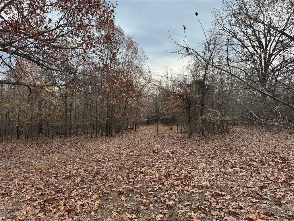 Wheeler Heights Dev - Land
