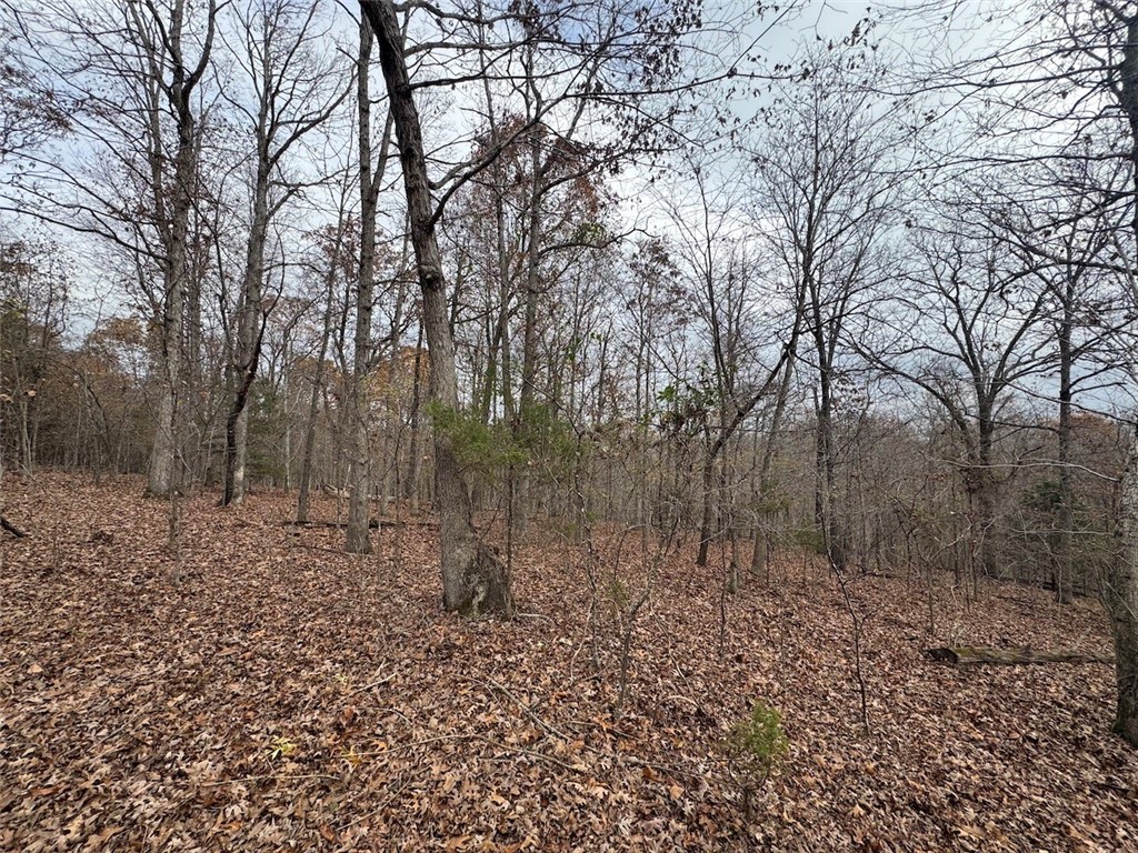 Wheeler Heights Dev - Land