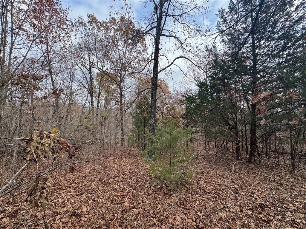 Wheeler Heights Dev - Land