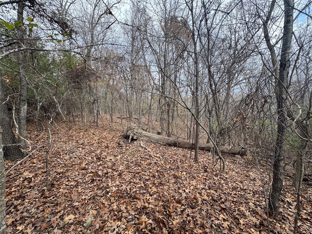 Wheeler Heights Dev - Land