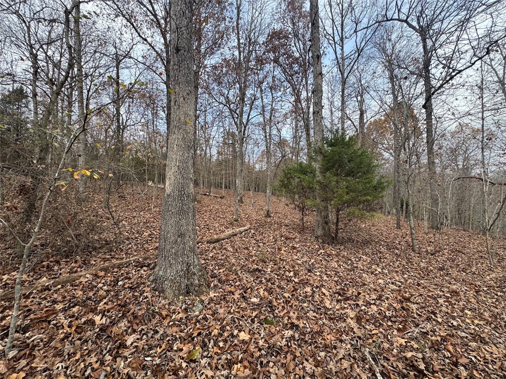 Wheeler Heights Dev - Land