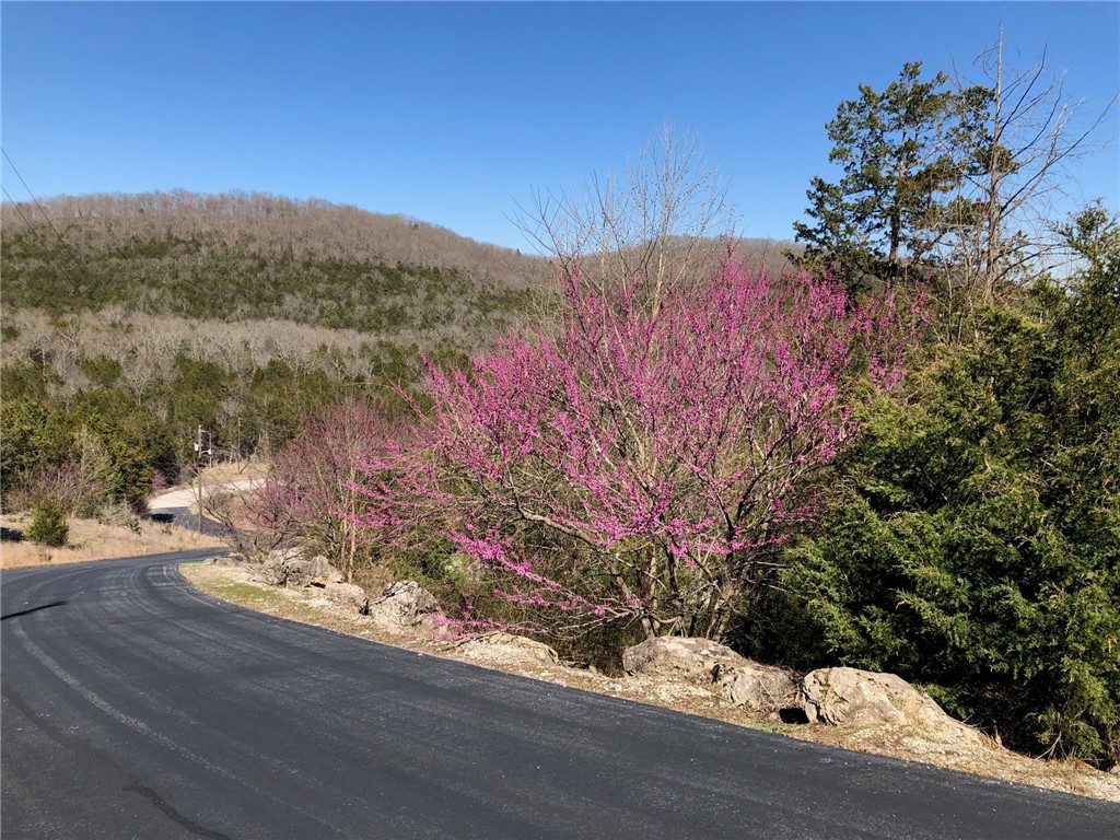 Oaks Landing On Table Rock Lake - Residential