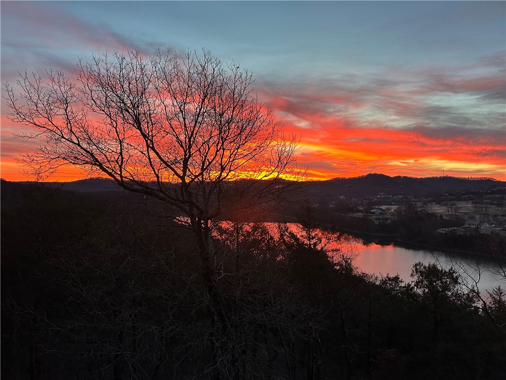 Oaks Landing On Table Rock Lake - Residential