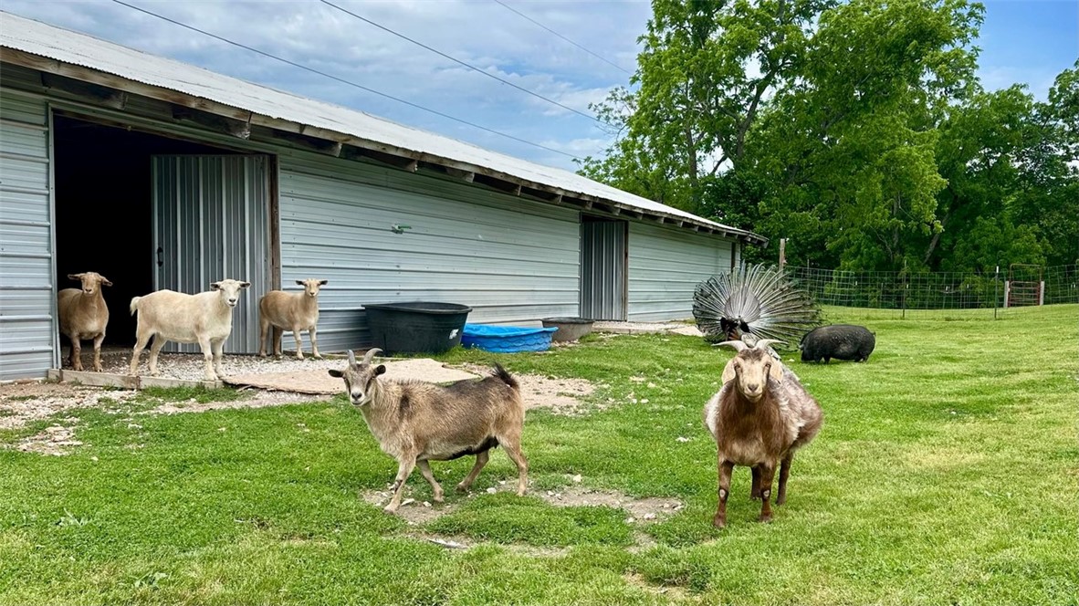 08-20-29-RURAL - Residential