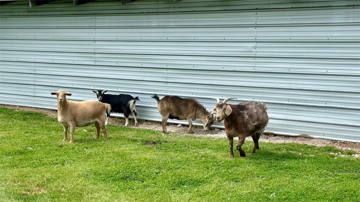 08-20-29-RURAL - Residential