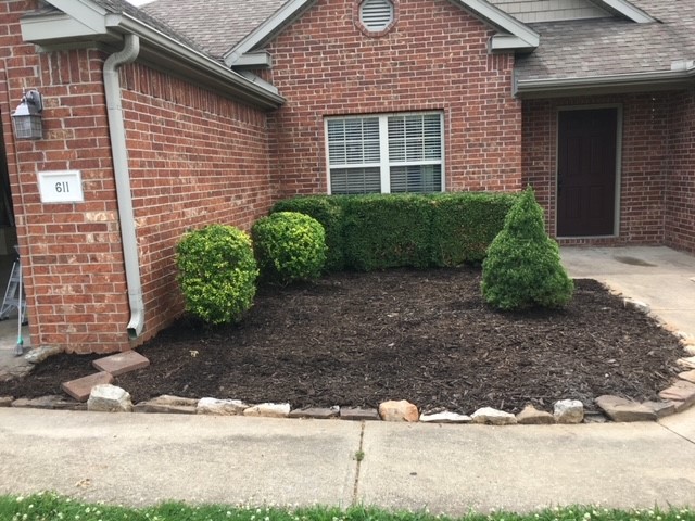 Great location close to Hwy 49, Walmart, Restaurants, Shopping. All new carpet in bedrooms, tile floors in wet areas, wood in living room. 4 bedrooms, 2 baths, large eat-in kitchen with separate dining room or office. Available July 1! No students, cats or large dogs please! Appointment required. Call listing agent for all inquiries. Fenced yard.