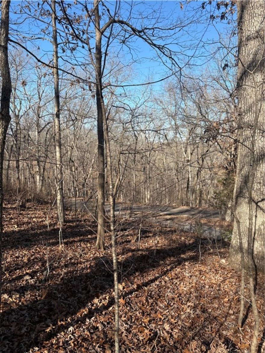 Discover the perfect spot to build in beautiful Bella Vista, AR! This vacant lot offers a lovely view and is located just 100 feet from the Landline Mountain Bike Trail—ideal for outdoor enthusiasts. Enjoy quick access to everyday conveniences with Sugar Creek Shopping Center only 5 minutes away, Bentonville Square and Walmart campus are just 20 minutes away. Bella Vista’s outstanding amenities include multiple golf courses, scenic lakes, miles of trails, a gun range, swimming pools, and welcoming clubhouses—making this an exceptional opportunity to enjoy both nature and convenience.