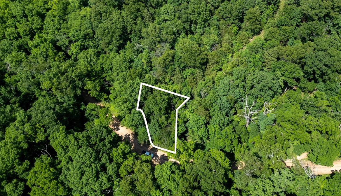 Donāt miss this rare opportunity to own a beautiful lot just minutes from the Back 40 bike trails. Enjoy easy access to trails, nature, and all the amenities of Bella Vista living.