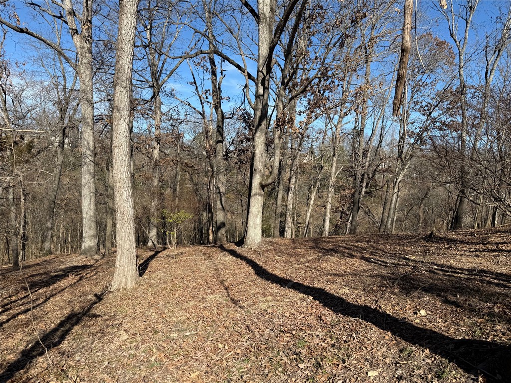 Lakeview Add Rogers - Land