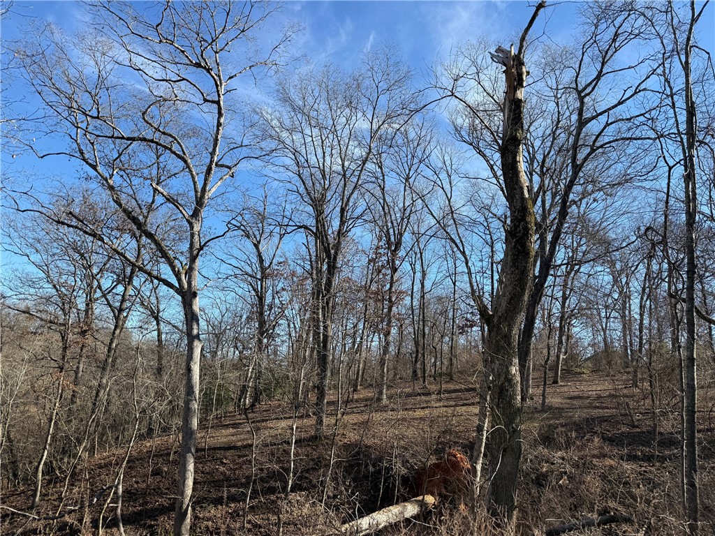 Lakeview Add Rogers - Land