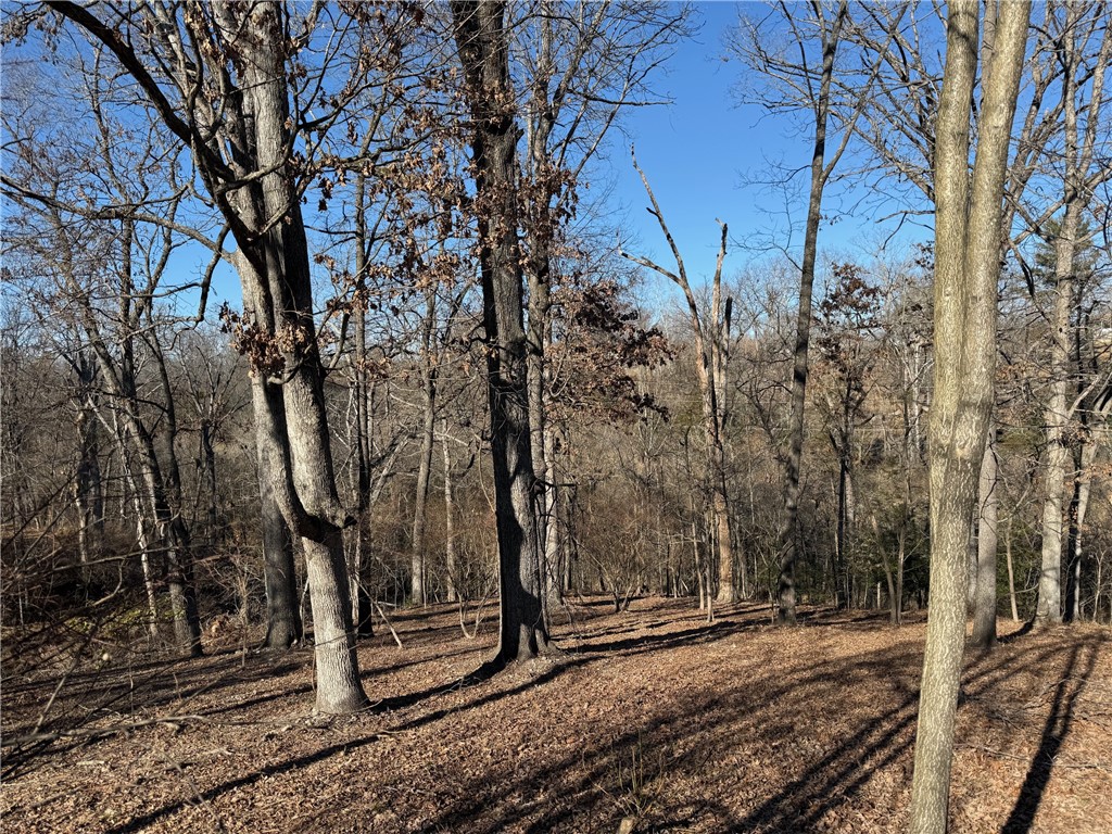 Lakeview Add Rogers - Land