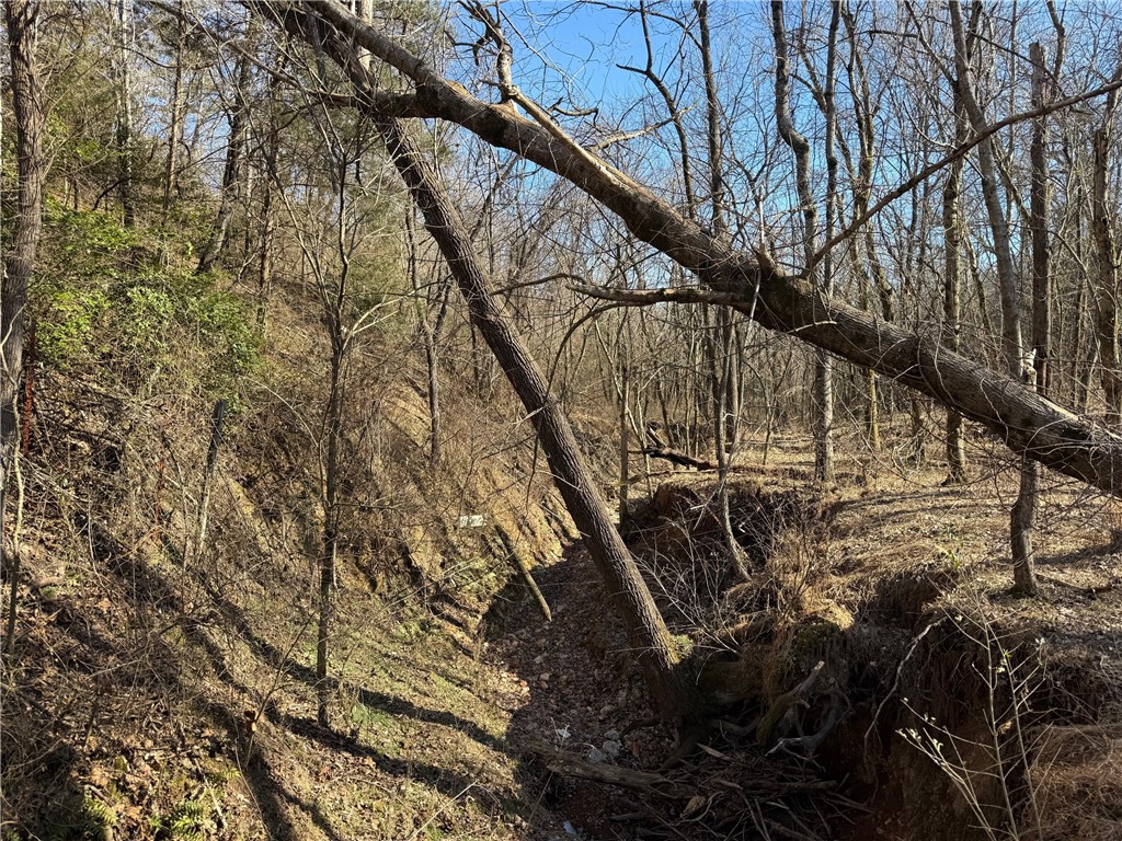 Lakeview Add Rogers - Land