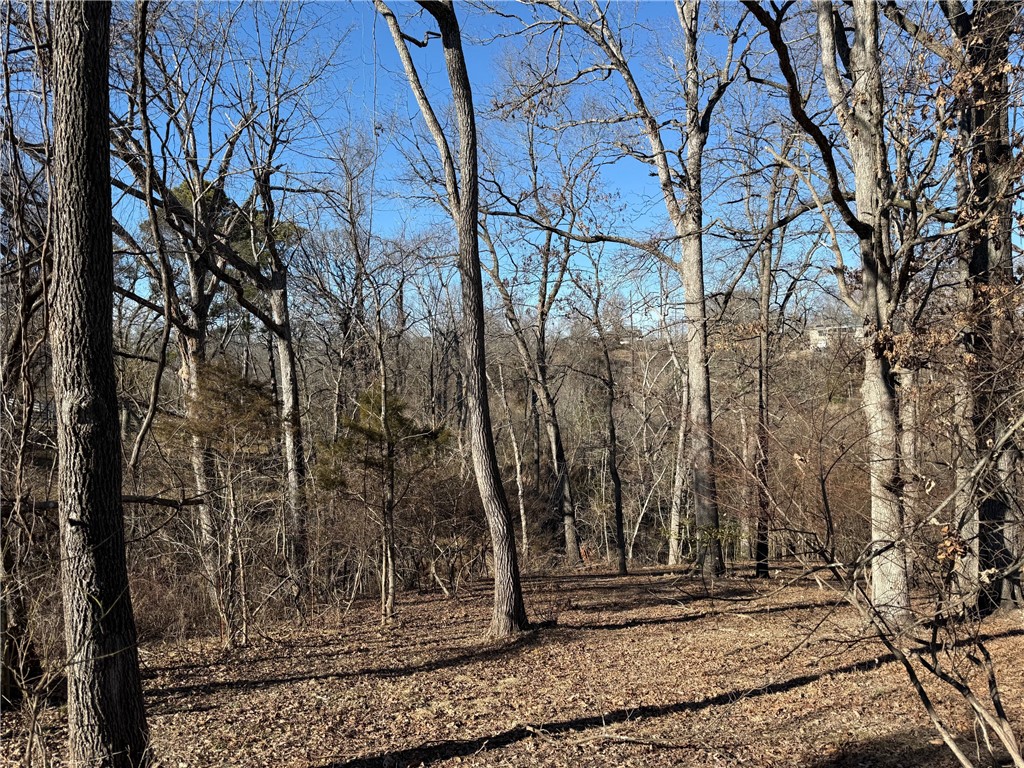 Lakeview Add Rogers - Land