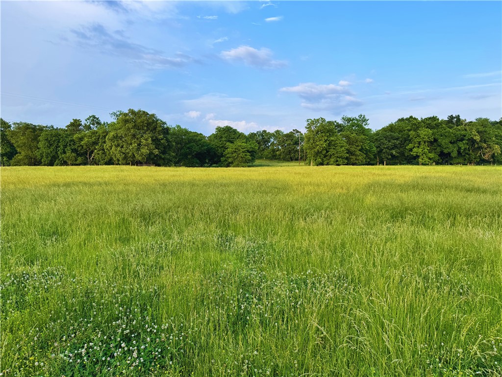 Welcome to your future homesite! This beautiful 5 acre parcel is perfectly situated just minutes from town, offering the best of both worlds: peaceful rural living with convenient access to local amenities.
The property is perfect for building your dream home with plenty of space for a shop or even a small hobby farm. Whether you're seeking a quiet getaway or a place for your forever home, this property offers endless possibilities. Skip rocks in the creek, splash or relax with a cold drink on a hot day, spend time enjoying your horses or livestock. Easy access to Farmington, Lincoln or Prairie Grove for small town living at it's best! Bring your vision to life on this fantastic piece of land.