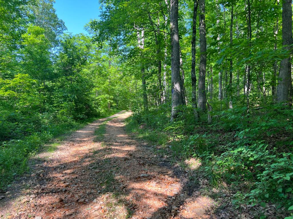 5.33 acres m/l. Located in the Low Gap area of Newton County. Property feels secluded and private but only about 1.5 miles from Hwy 74 W in Low Gap. Only minutes to the famous Low Gap Cafe, Steel Creek, Kyles Landing, Pona and Boxley Valley. Property has good building spots, county road frontage, pond and access to rural water and electric. Buyer is responsible for verifying the availability of all utilities. Would be a great location for a cabin or Investment opportunity.
