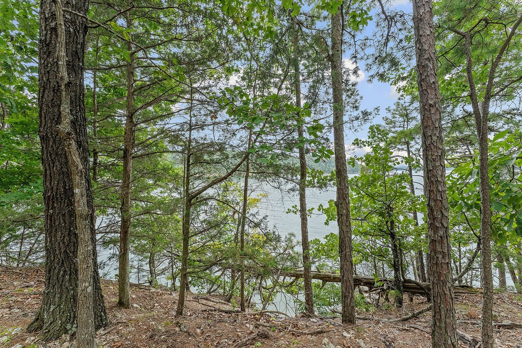 Piney Point Retreat Sub Rurban - Residential