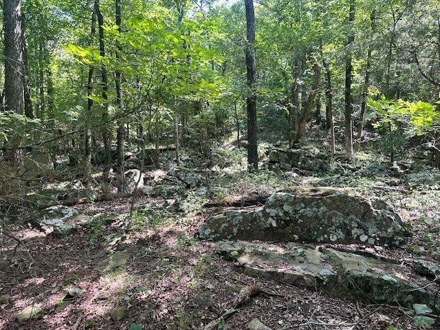 Get your hunting land now! Wildlife present! Beautiful wooded with creek running thru lower part of the property fed by Lincoln Lake. Overlook/cave like areas. 800 SF building with existing well, septic system & electric. Property sold "as is".