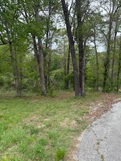Twin Lakes Estate Rogers - Land