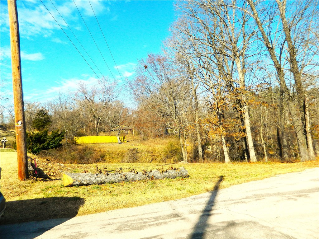 Twin Lakes Estate Rogers - Land