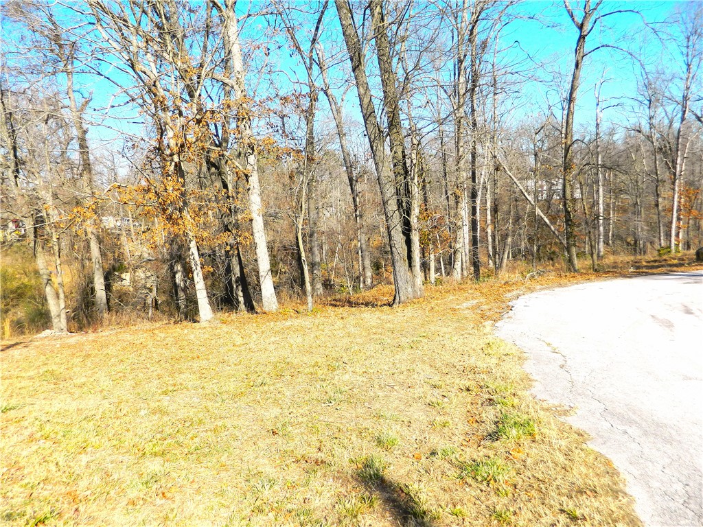 Twin Lakes Estate Rogers - Land