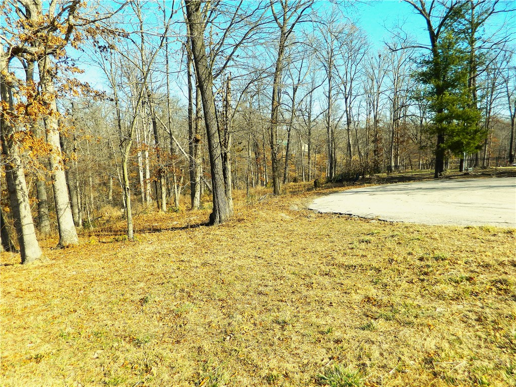 Twin Lakes Estate Rogers - Land