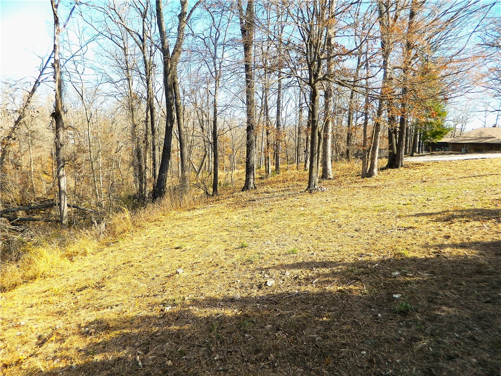 Twin Lakes Estate Rogers - Land