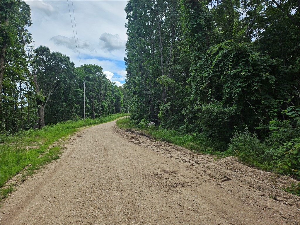 Very private yet convenient to Holiday Island and Eureka Springs. With almost 14 acres there are limitless possibilities for the property. There are a variety of hardwoods on the property.