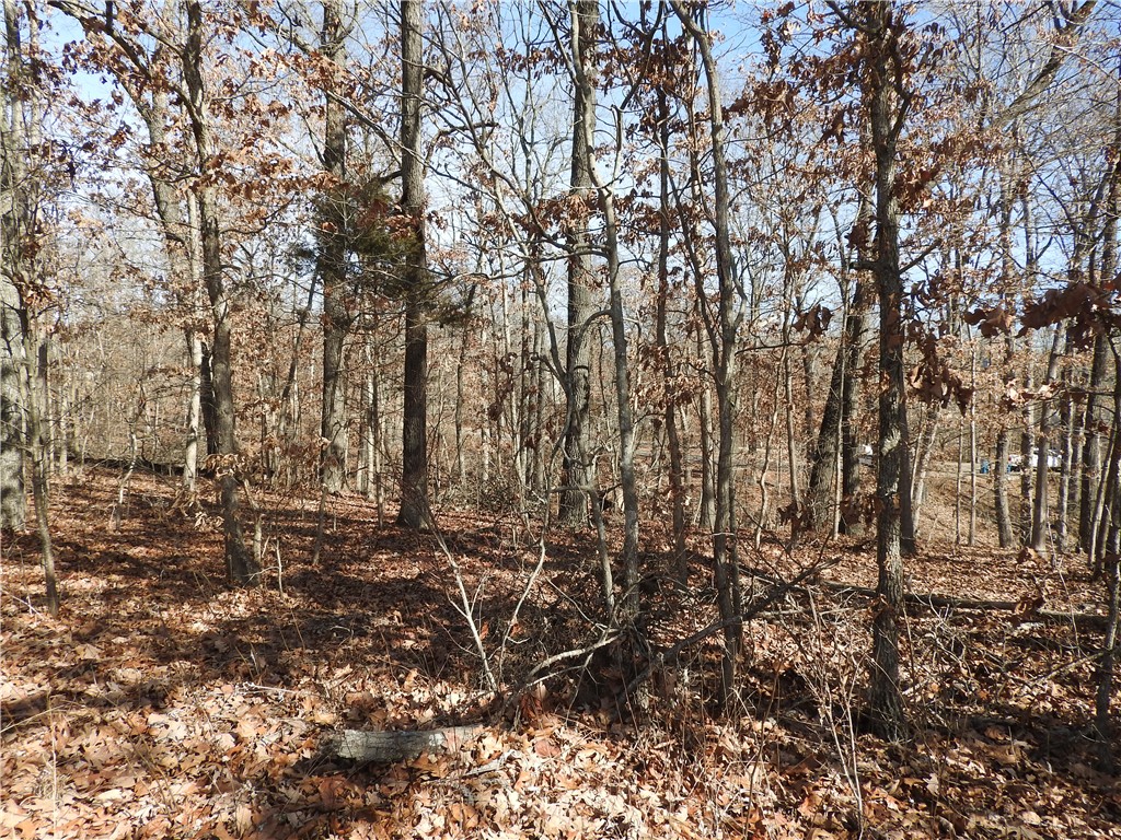 Great level lot in Subdivision.