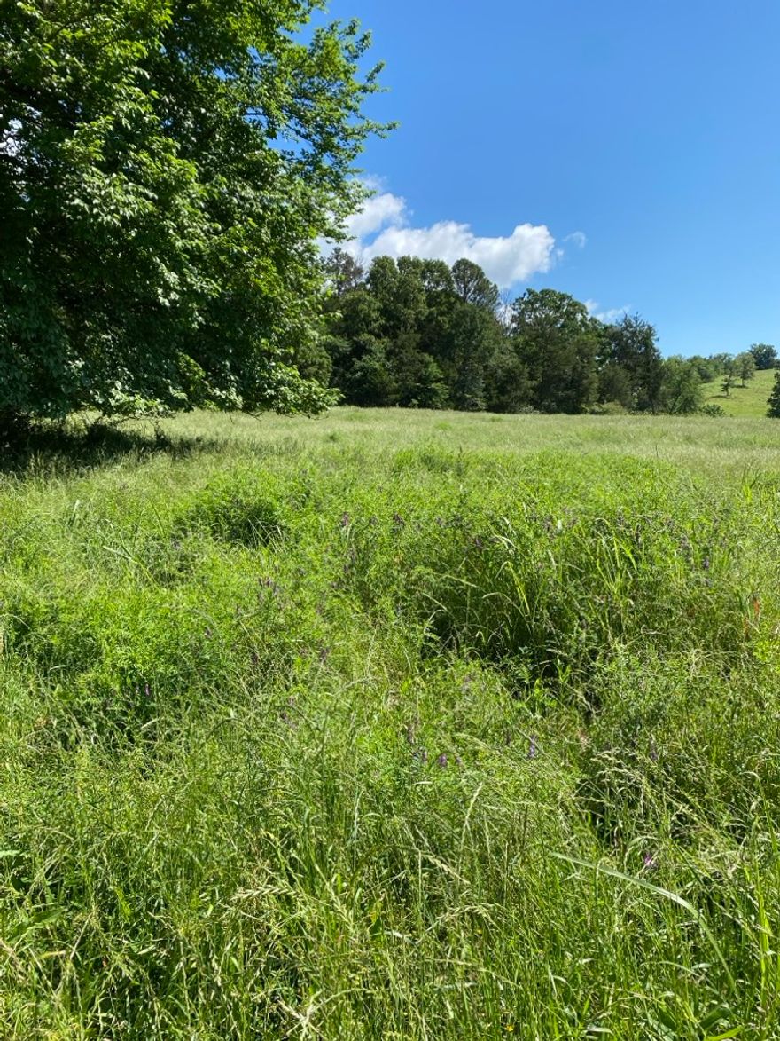 Looking for a couple of acres of land to build on? Look no farther then this property right here. Just off the main road so you don't hear the traffic. The land is cleared and ready to build. With the openness of the lot you can do almost anything on it. Come start your dream today!