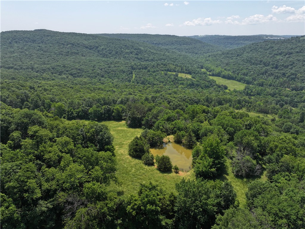 Discover 101+/- stunning acres less than 1 mile off Hwy 21 in Madison County, AR. This rare property features 3 spring-fed ponds, two gated access points, and rural water and electric available at the county road. Wildlife is abundantādeer, bear, and turkey roam freely. Explore miles of trails, wet-weather creeks, and two well-kept cabins perfect for weekend getaways or hunting retreats. The southeast portion offers multiple prime build sites with breathtaking views, a beautiful blend of timber and pasture, and potential for recreation, a dream home, or livestock. A true Ozarks gem that you do not want to miss!