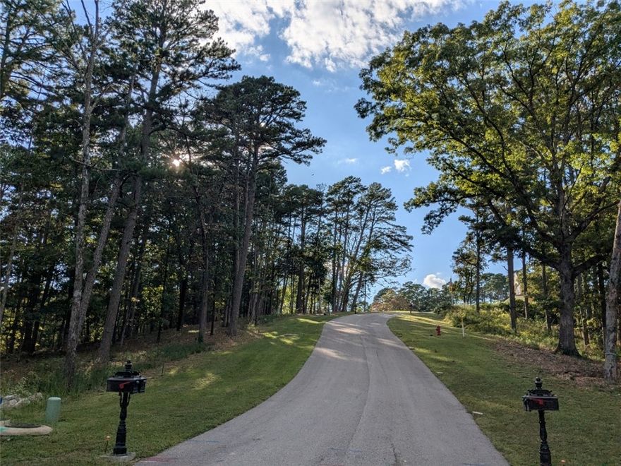 Build your dream home in this charming newer subdivision less than 2 miles from historic downtown Eureka Springs!  It's conveniently less than an hour to Rogers' vibrant shopping and entertainment districts as well. You can secure this +/- .34 acres with annual taxes estimated currently at $389 for your new construction now. With underground utilities accessible at street, well-maintained curb areas and a gently sloping wooded view, this idyllic lot would make a great place to call home.